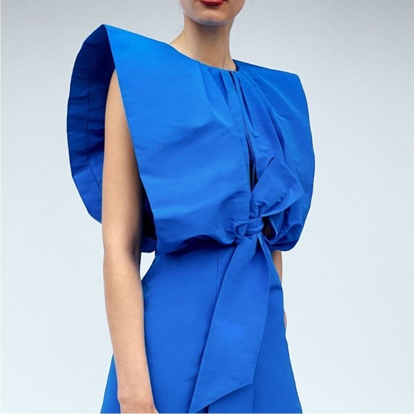 BLOGGERS FAVORITE zara voluminous dress LIMITED EDITION - Picture 8 of 15